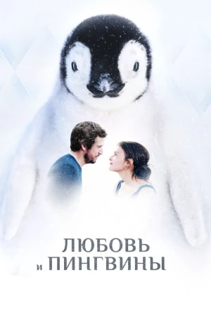 Любовь и пингвины 2016
