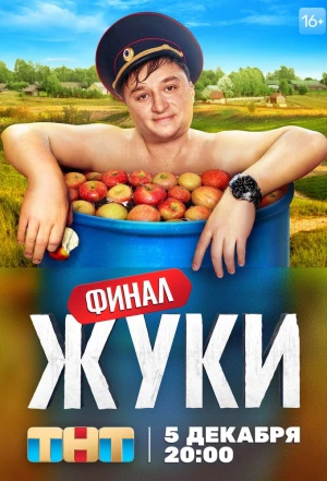 Жуки 2019