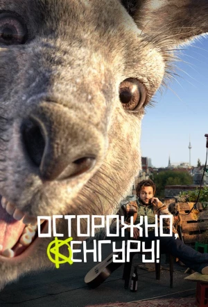 Осторожно, Кенгуру! 2020