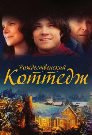 Рождественский коттедж 2008